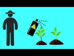 Похожее изображение